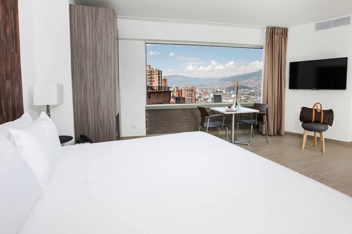 Room, 1 King Bed, Non Smoking (Efficiency)