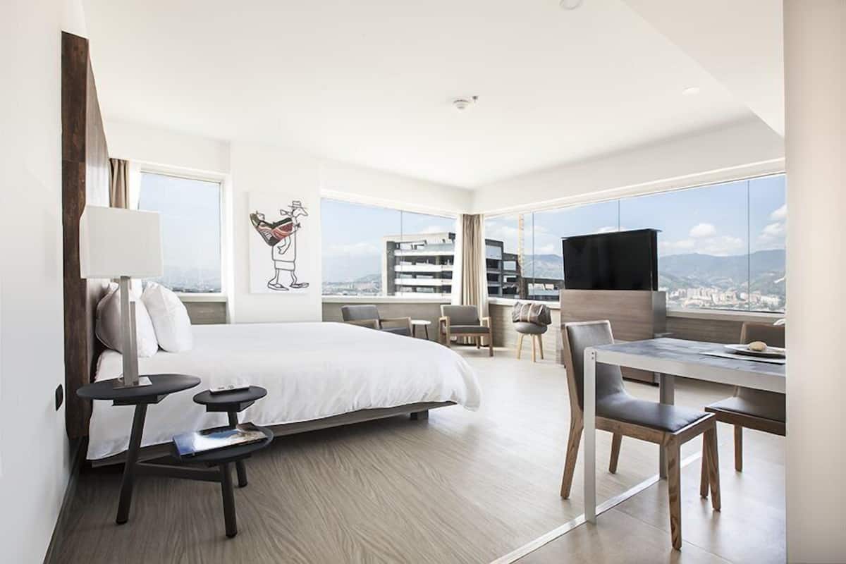 Suite, 1 King Bed, Non Smoking, City View (Efficiency)
