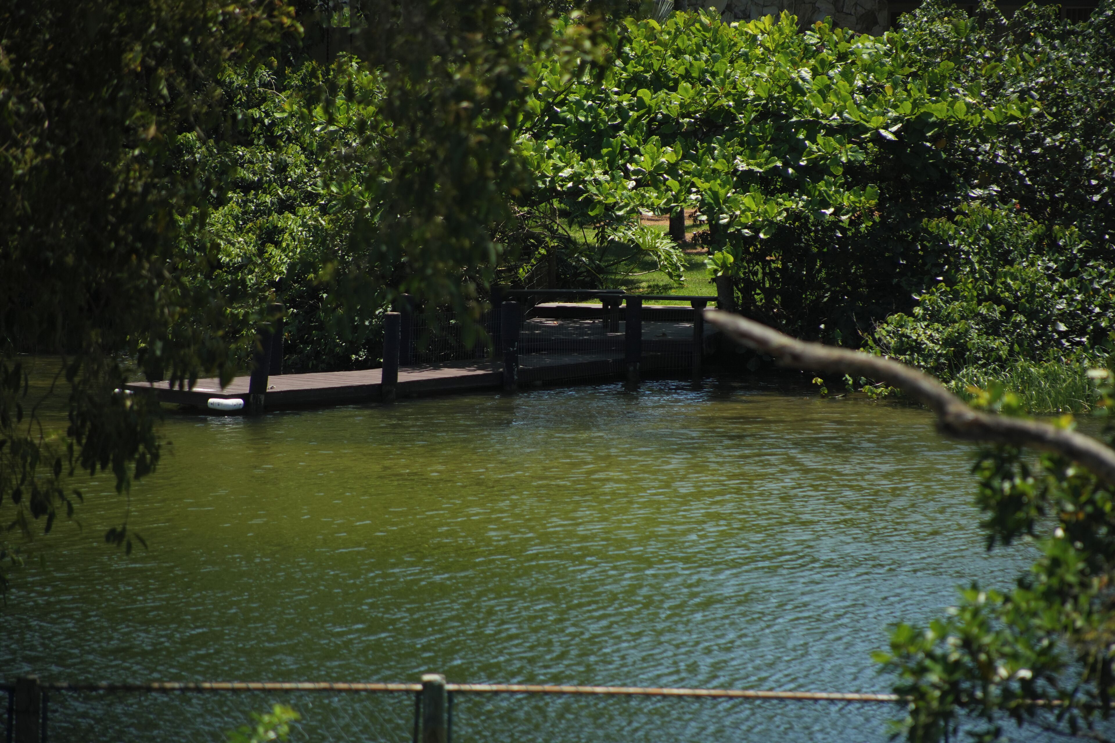 superior apartment | balcony