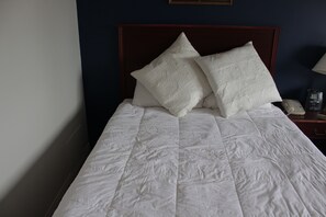 Room, 1 Queen Bed, Refrigerator & Microwave | Desk, iron/ironing board, free WiFi