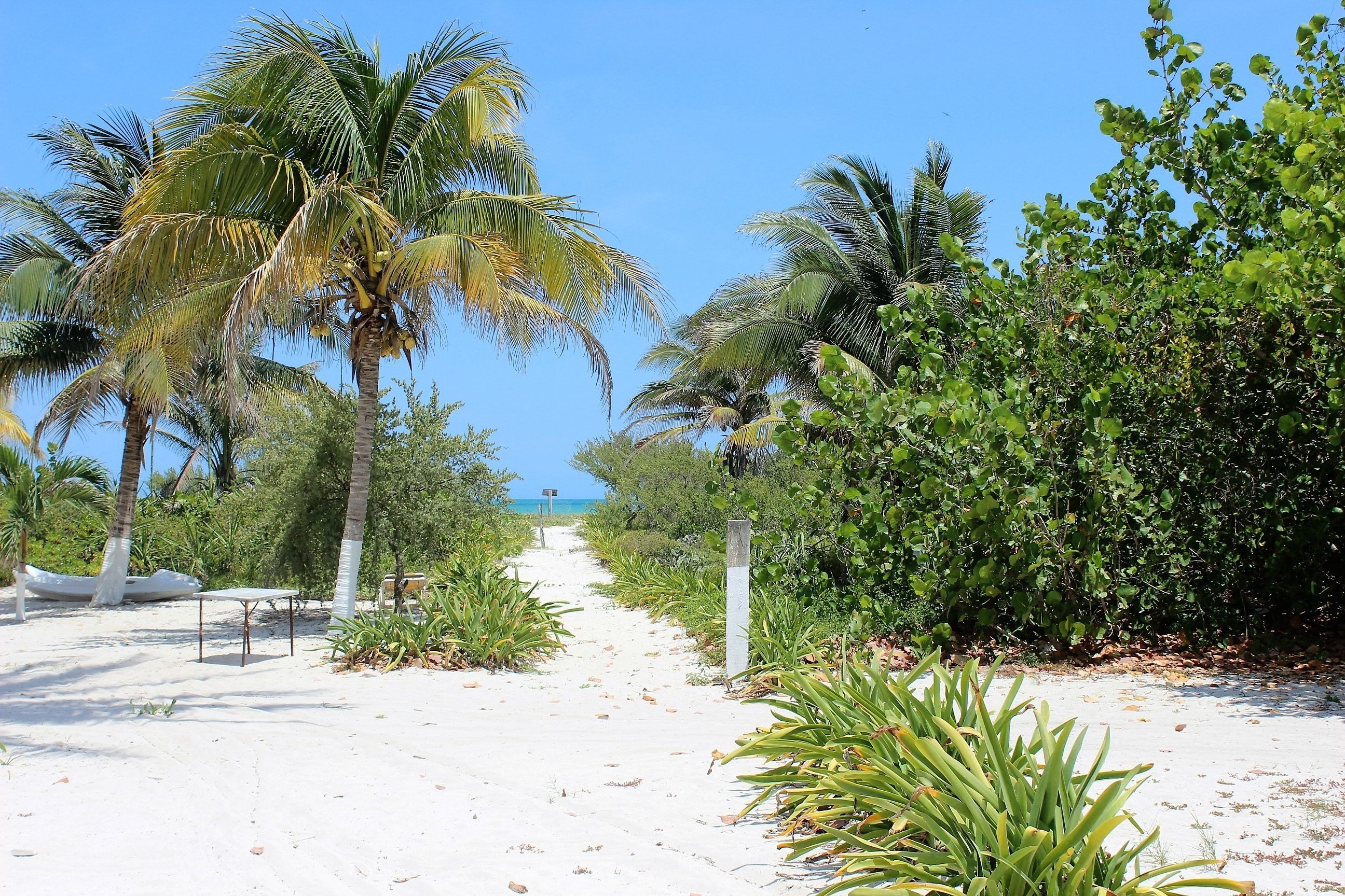 On the beach, white sand, beach towels, beach volleyball