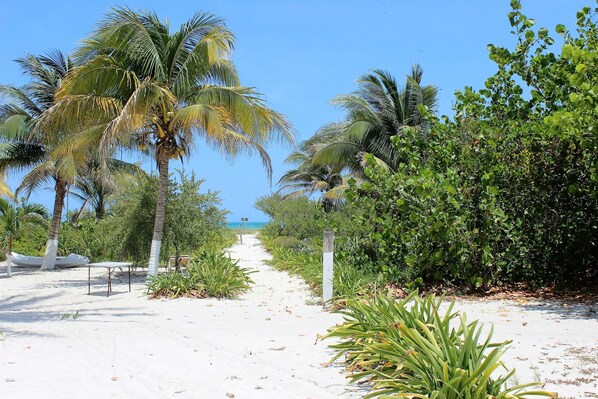 Plage, sable blanc, serviettes de plage, beach-volley