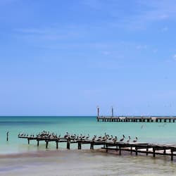 Muelle
