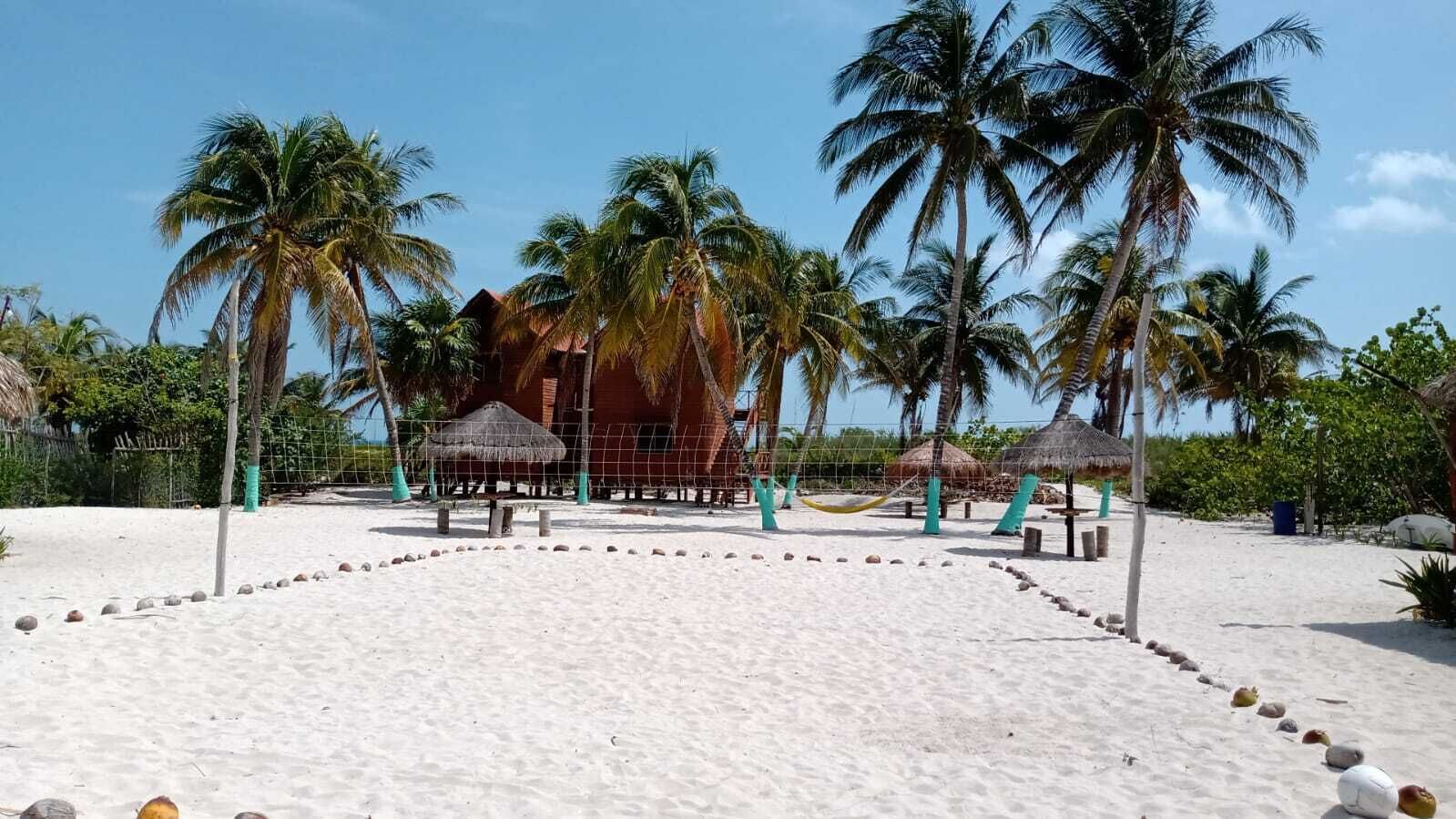 Una playa con palmeras, una estructura de techo de paja y un área cercada con una hamaca.