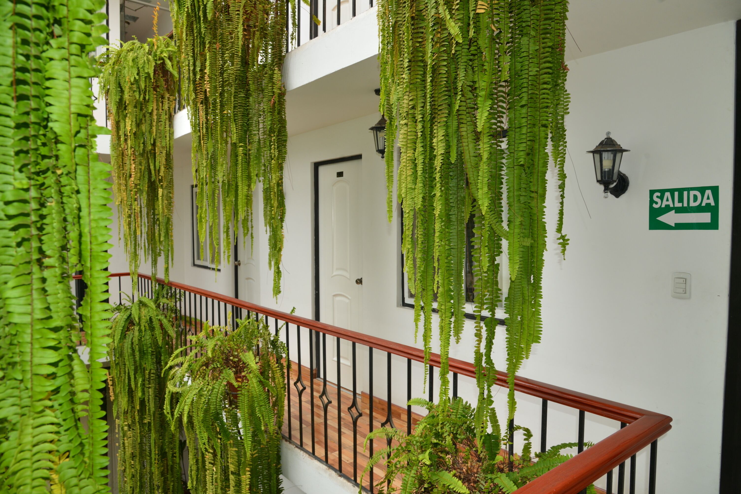 Foto - Residencial Carlos