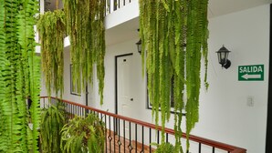 A staircase with hanging ferns, a white wall, a door, and a 'SALIDA' sign. - Residencial Carlos (Lima)