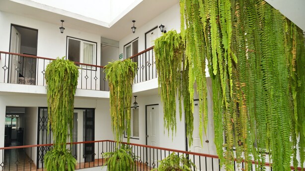 A multi-level building with balconies adorned with hanging ferns. - Residencial Carlos (Lima)