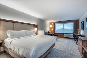 Habitación de hotel con una cama grande, un escritorio, una silla y un ventanal con vistas.