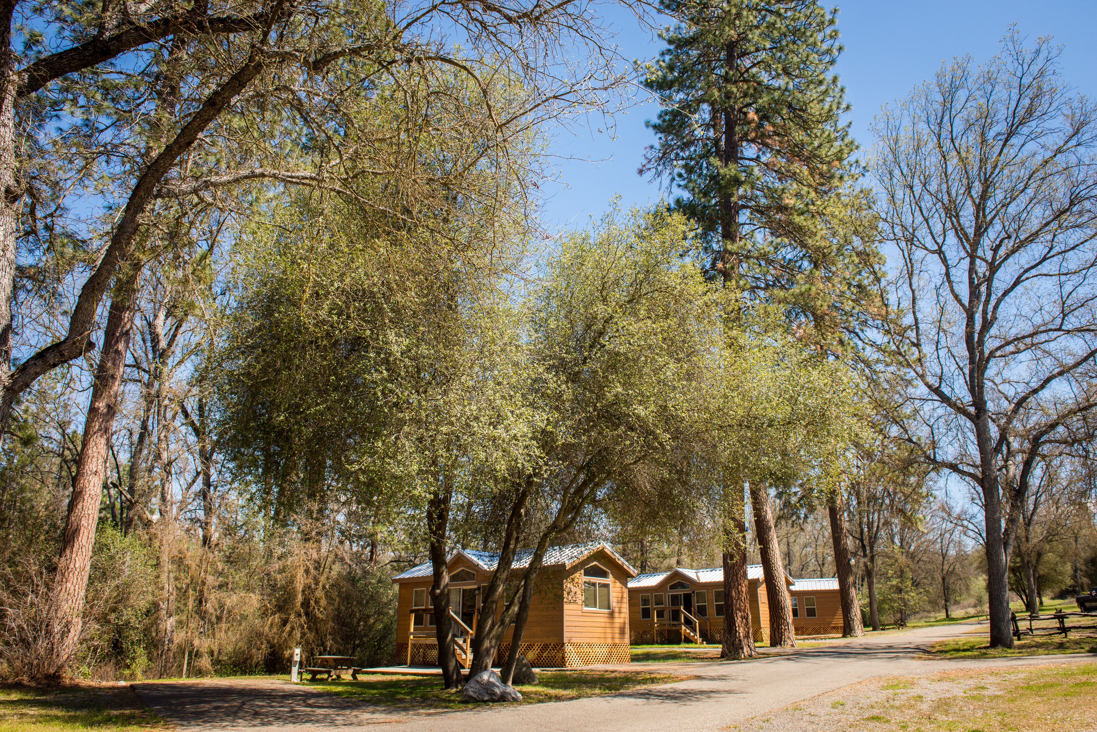 A cabin-style lodging with a porch, surrounded by trees.