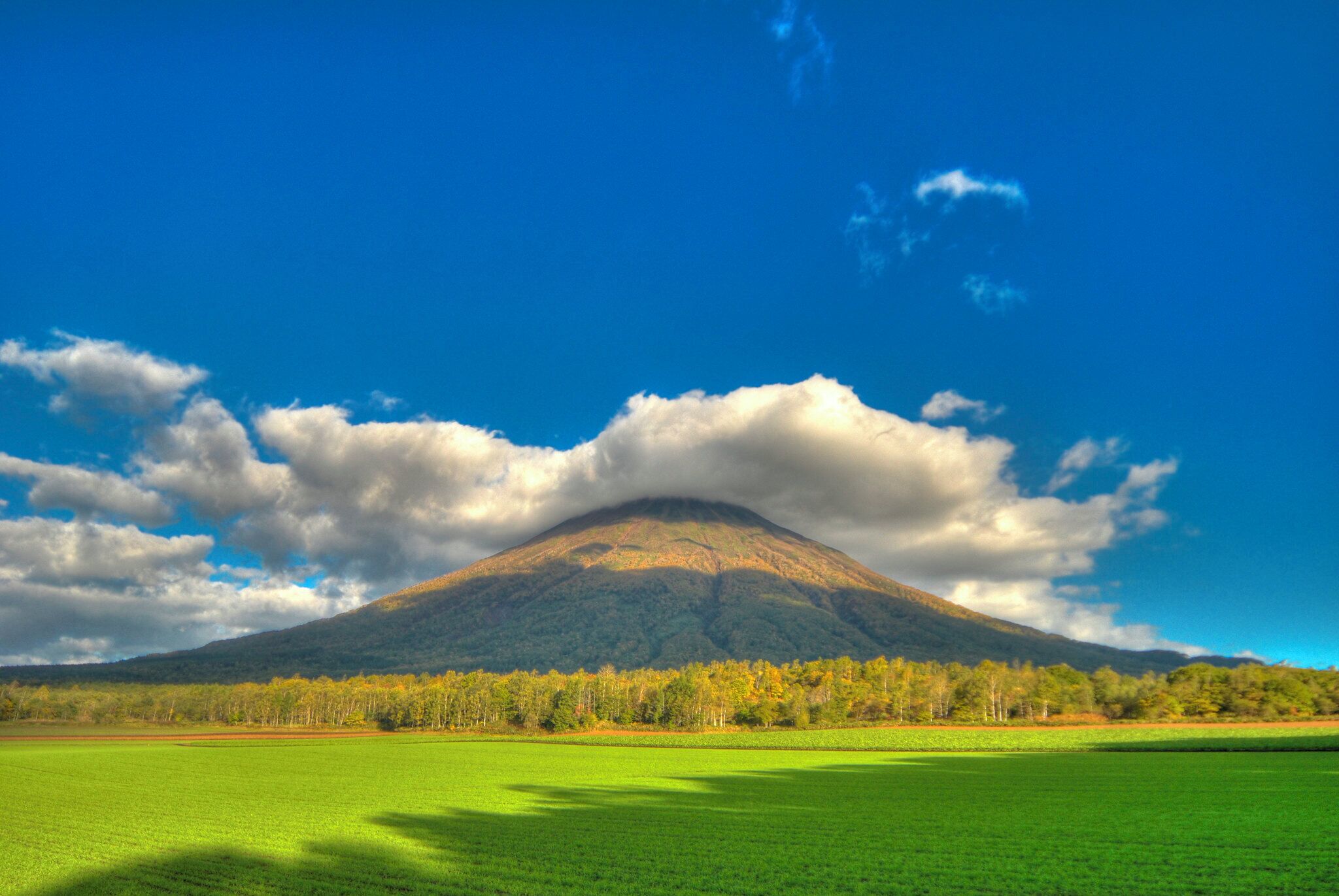 A mountain with a forested base and a clear sky.
