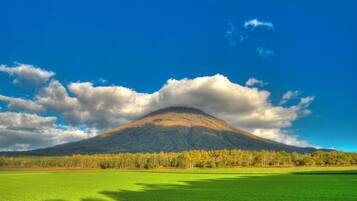 A mountain with a forested base and a clear sky.