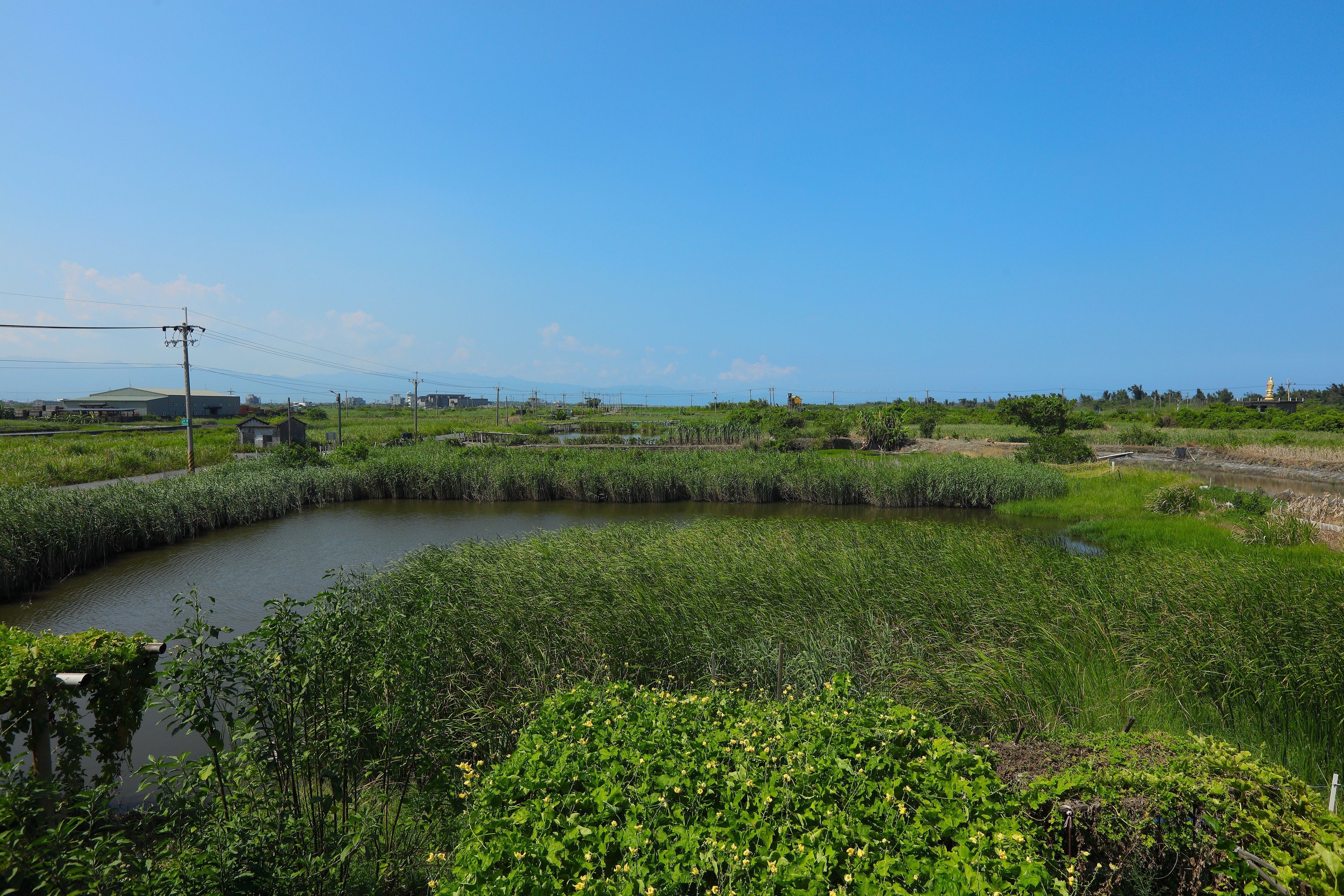 阳台