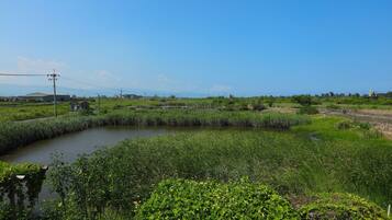 Speed Quadruple Room | Balcony
