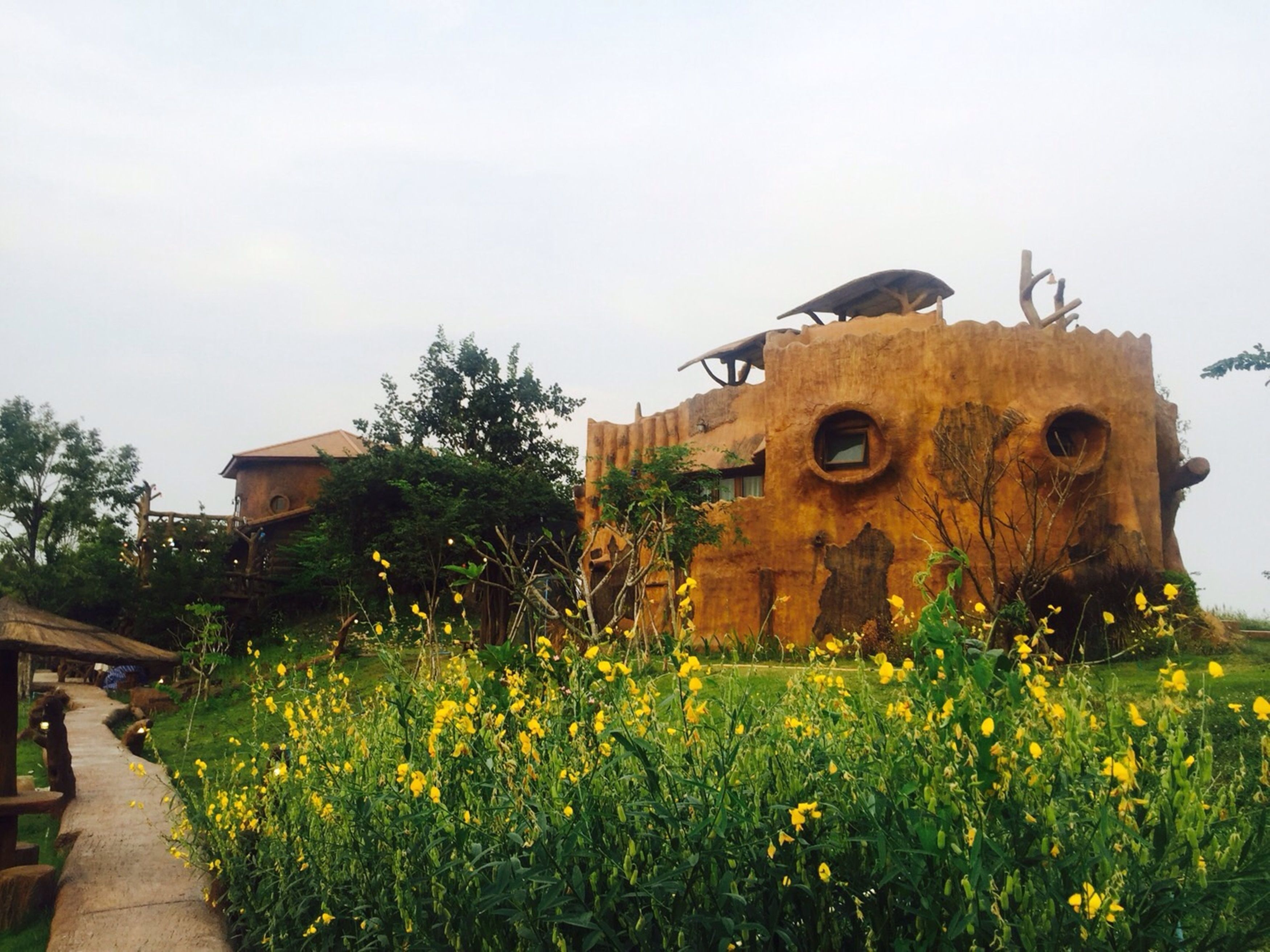 A rustic building with a unique, organic architecture, surrounded by a field of yellow flowers.