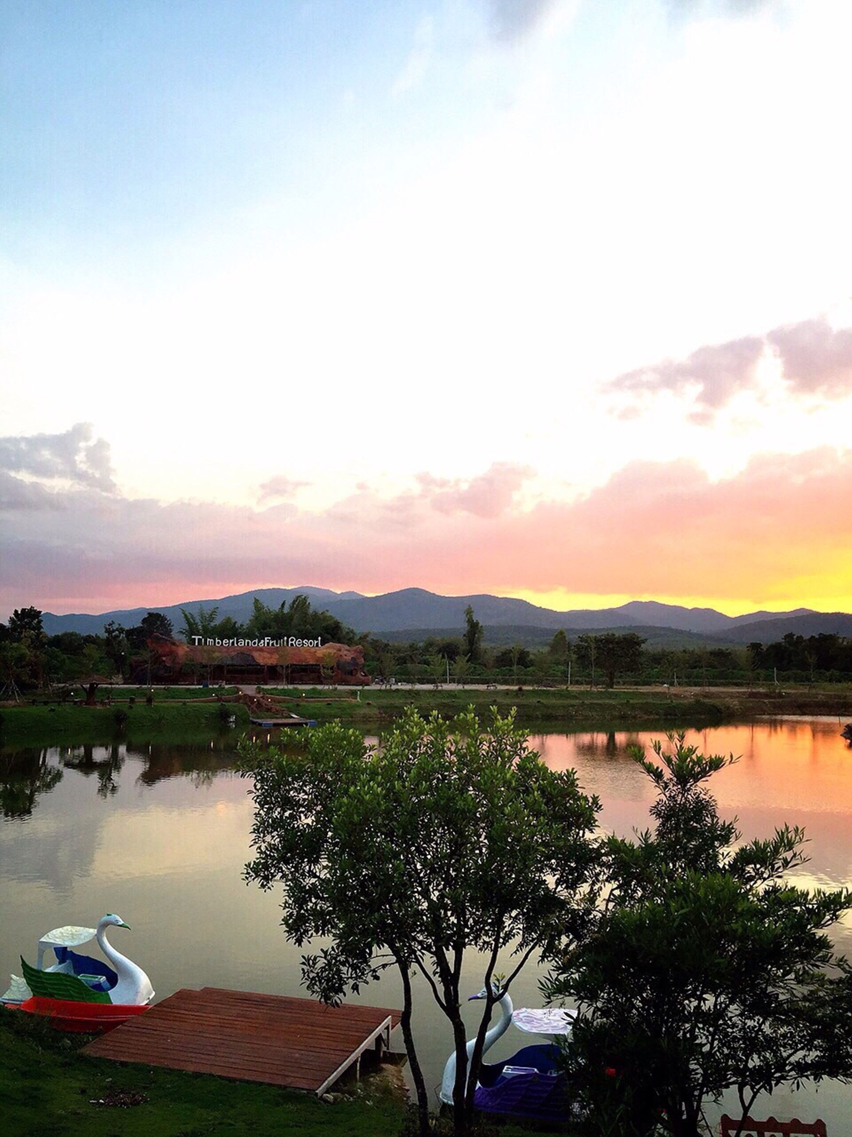 A serene lakeside view with a swan sculpture, a wooden dock, and a resort named TimberlandFruitResort in the background.