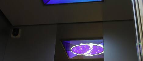 Techo con un diseño de vitral que presenta un óvalo central con un motivo de estrellas.