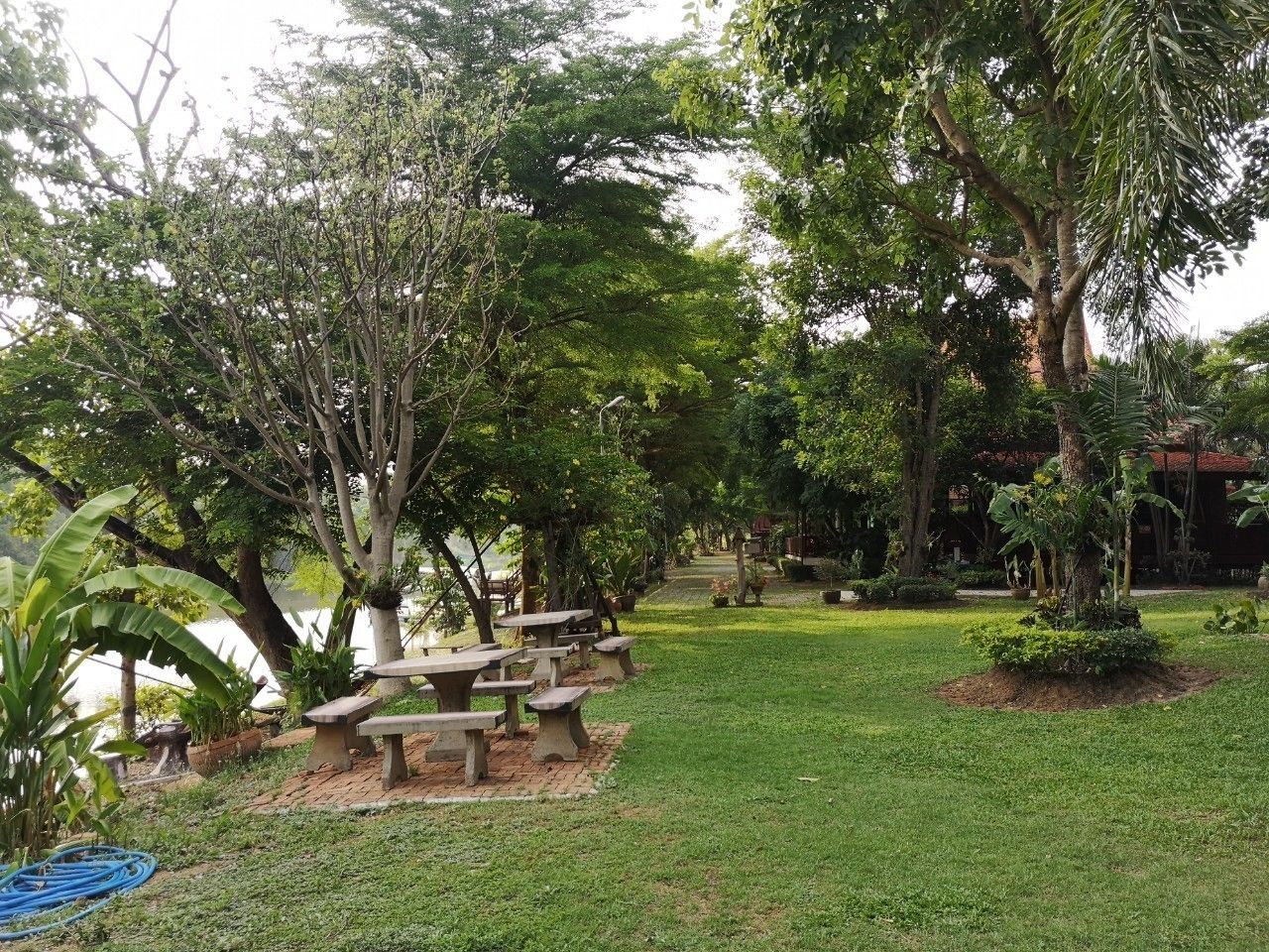 superior premium villa | view from room