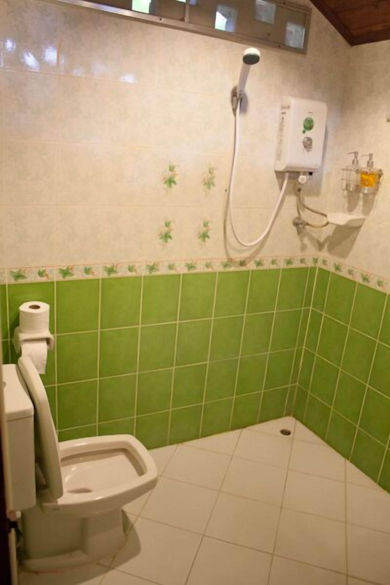 A bathroom with a toilet, a shower, and a green-tiled wall.