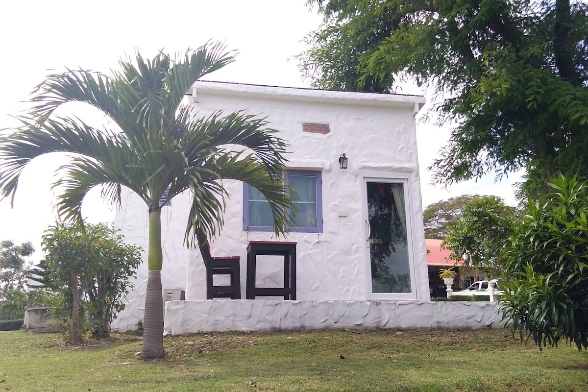 Un edificio blanco con una ventana y una puerta, rodeado de follaje.