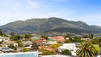 A residential area with houses, a prominent mountain in the background, and a large palm tree in the foreground.