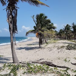 On the beach, white sand, windsurfing, surfing