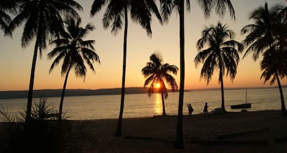 Pura Vida Lodge