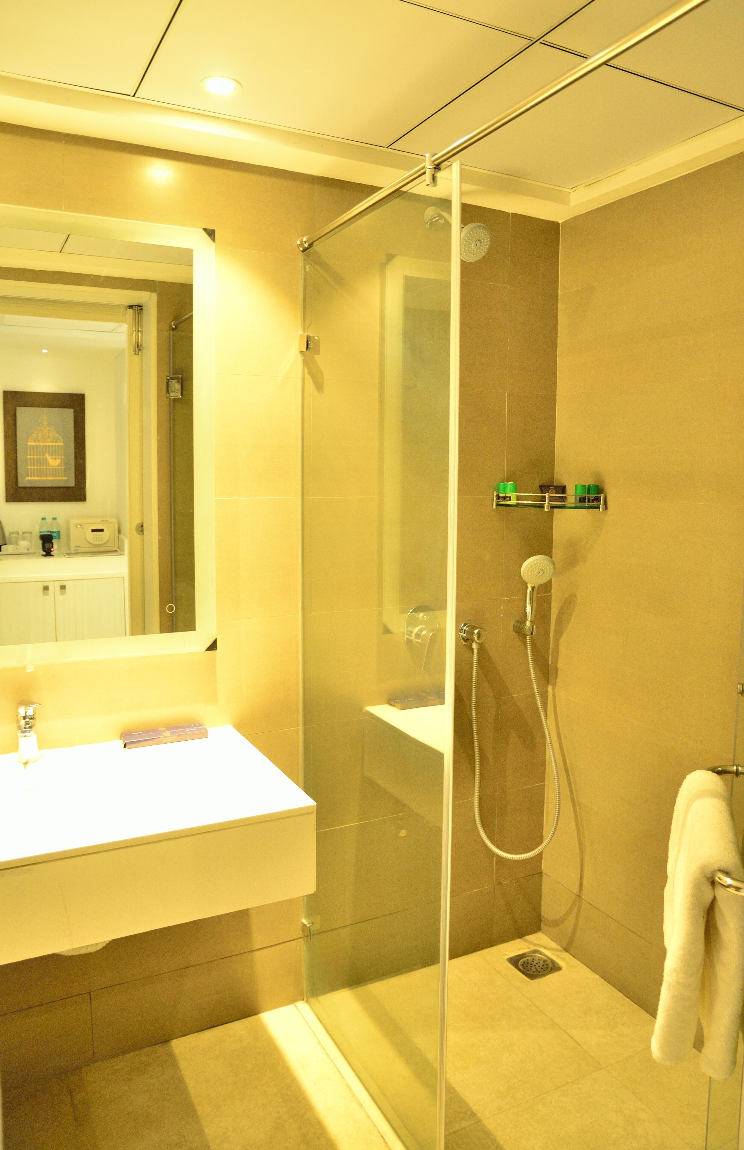 Foto - Hotel Deccan Serai, HITEC CITY, HYDERABAD