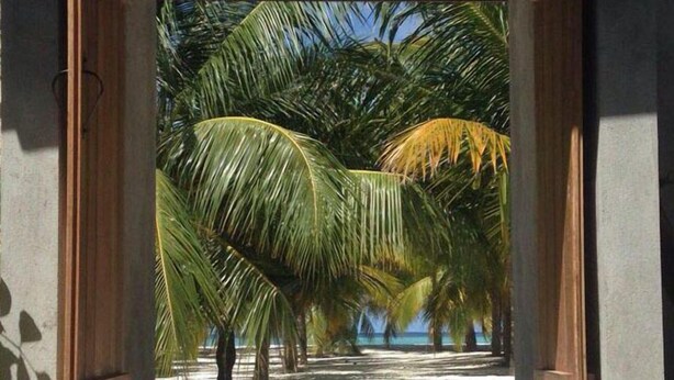 Ein offenes Portal führt zu einem Strand mit Palmen und blauem Himmel.