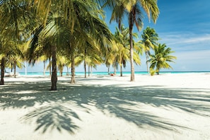 A beach with palm trees and a clear sky. - Cerulean View (Hanimaadhoo)