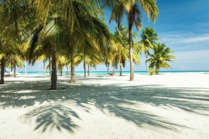A beach with palm trees and a clear sky.