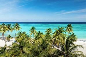 Uma praia com palmeiras e águas azul-claras.