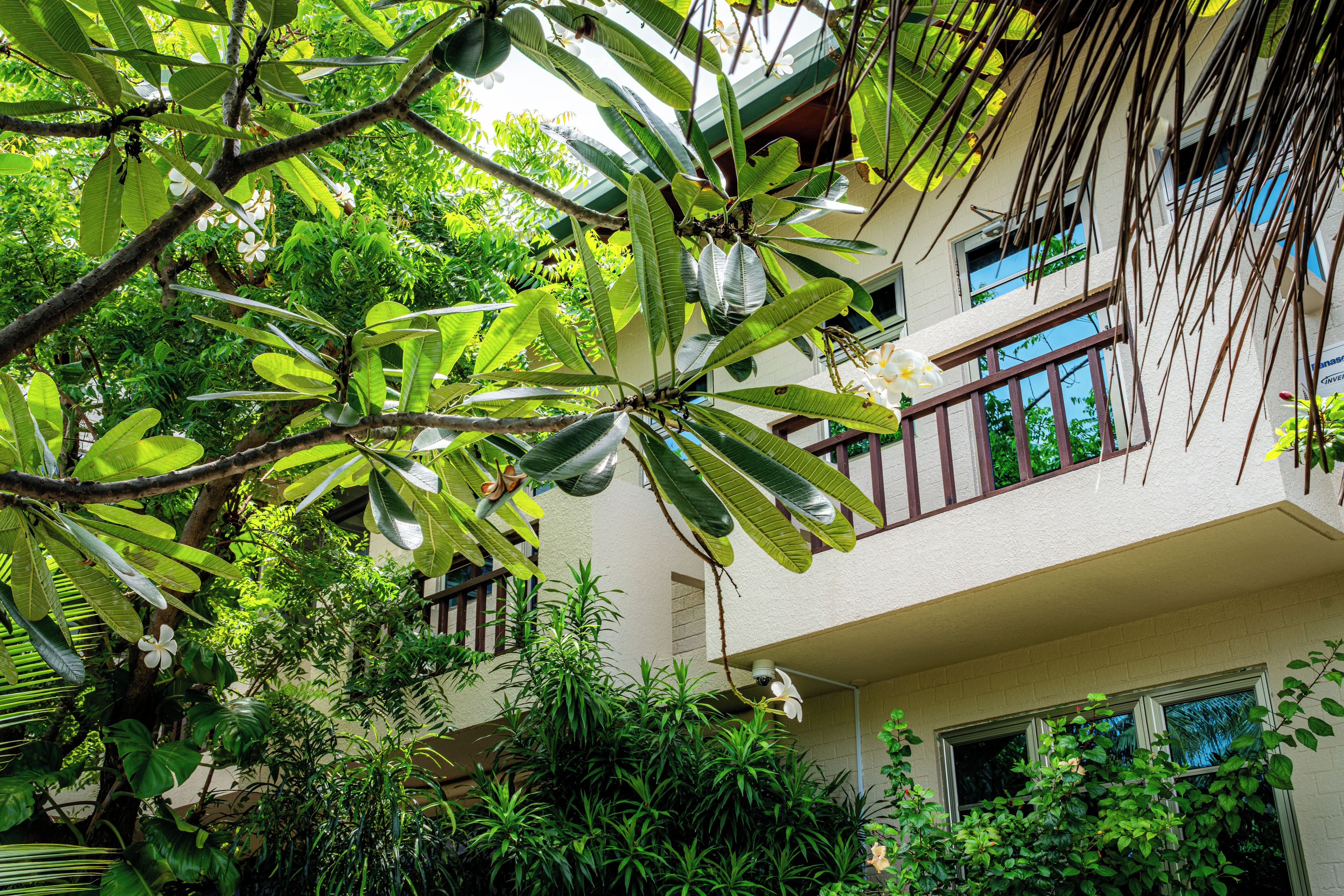A multi-story building with balconies, surrounded by lush greenery and trees.