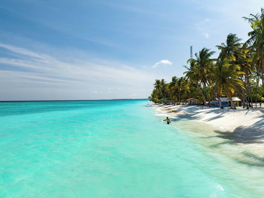 A beach with clear turquoise water, white sand, and palm trees.