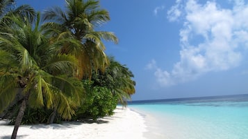 Privat strand i närheten och vit sandstrand