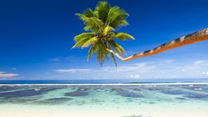 Private beach nearby, white sand, free beach shuttle, beach umbrellas