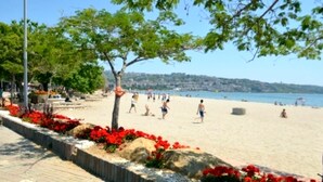 A beach with people, trees, and a clear sky. - AlaDeniz Hotel (Istanbul)
