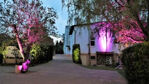A residential street with a house on the right, a driveway, and trees with purple lighting. - Hotel Mohr & SPA (Werder (Havel))
