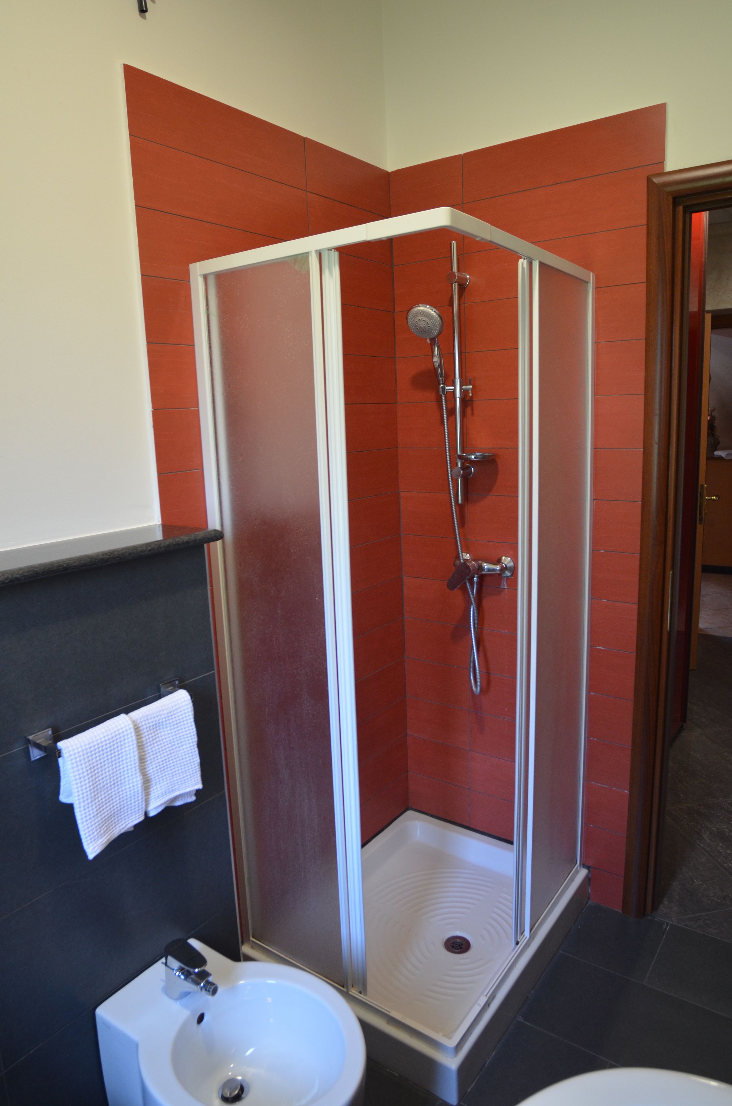 A shower enclosure with a glass door, a sink, and a towel rack.