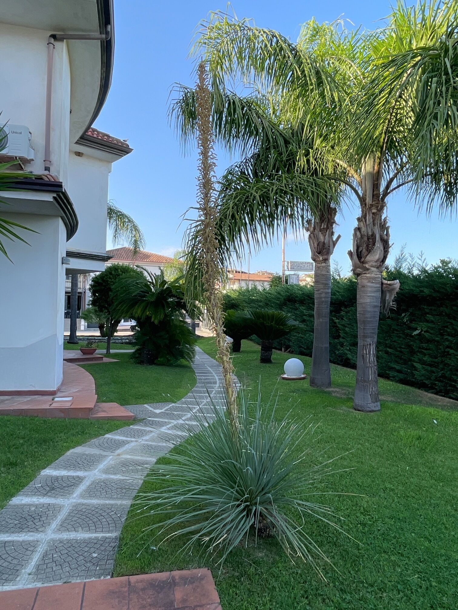Un jardín bien cuidado con palmeras, un sendero de piedra y un edificio blanco con tejado rojo.