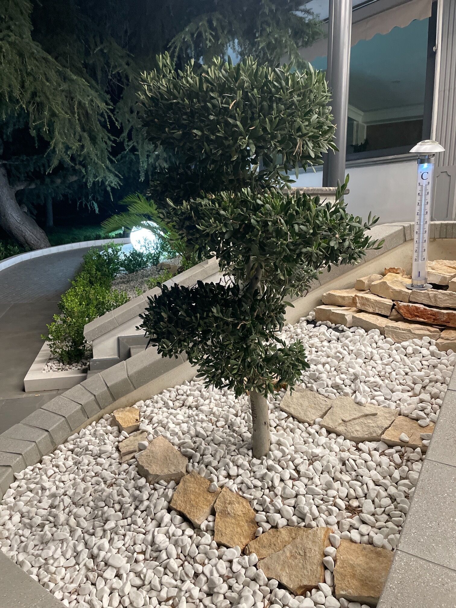 Un espace paysager aménagé en jardin, avec un petit arbre, des galets blancs et des bordures en pierre.