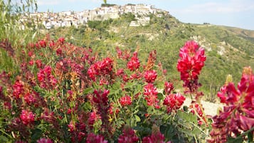Un poblado en una ladera con edificios y plantas florecientes.