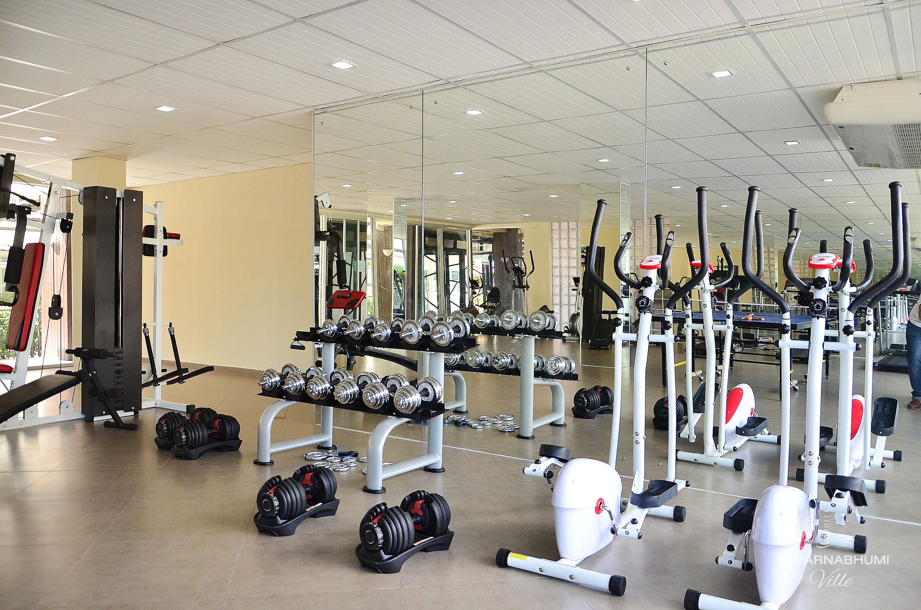 Ein Fitnessstudio mit verschiedenen Trainingsgeräten, darunter Kurzhanteln, Laufbänder und Kraftgeräte.