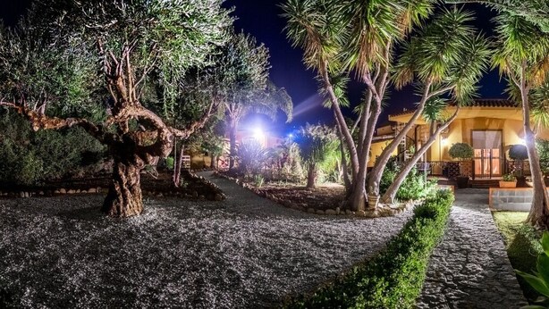A well-lit garden with a variety of trees and plants, leading to a building with a yellow facade. - Villa Concordia (Agrigento)