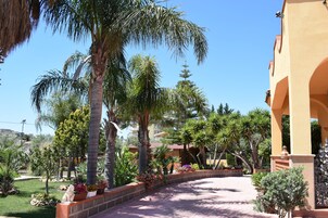 A courtyard with palm trees, a brick pathway, and a building with a yellow facade.