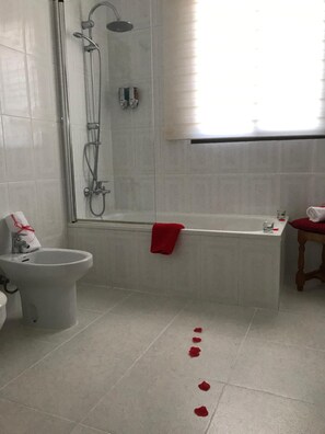 Articles de toilette (gratuits), séchoir à cheveux, bidet