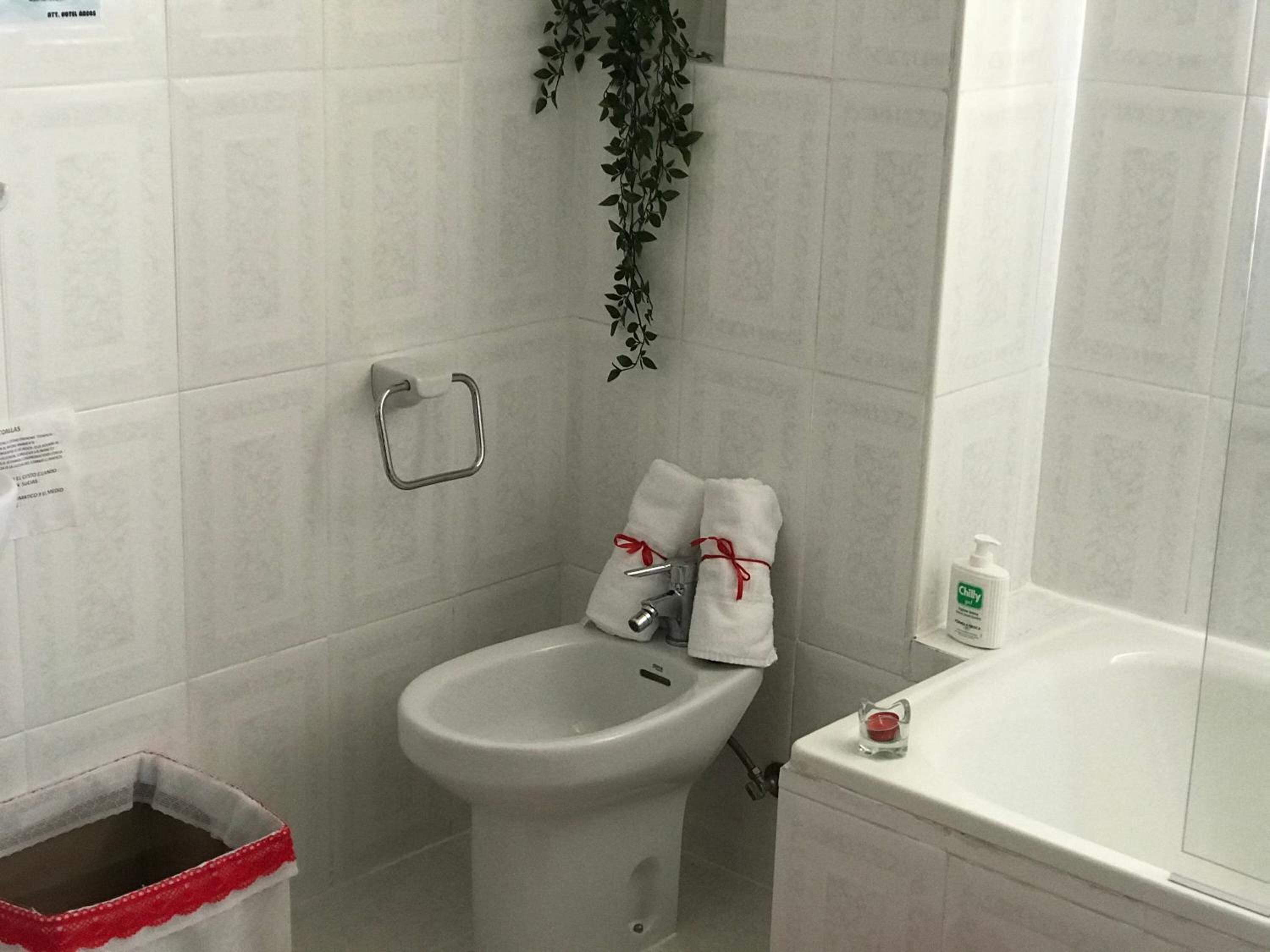 A bathroom with a toilet, bidet, and bathtub. There is a plant hanging above the toilet, a trash bin, and a bottle of hand soap on the bathtub.