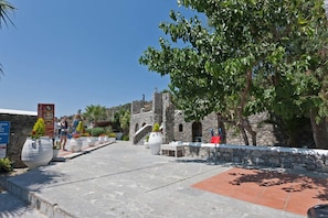 Property grounds - Rastoni (Agios Vasileios)