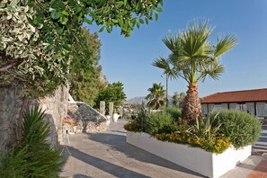 Property grounds - Rastoni (Agios Vasileios)