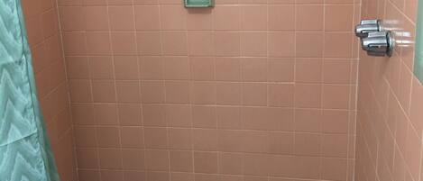 Douche de la salle de bain