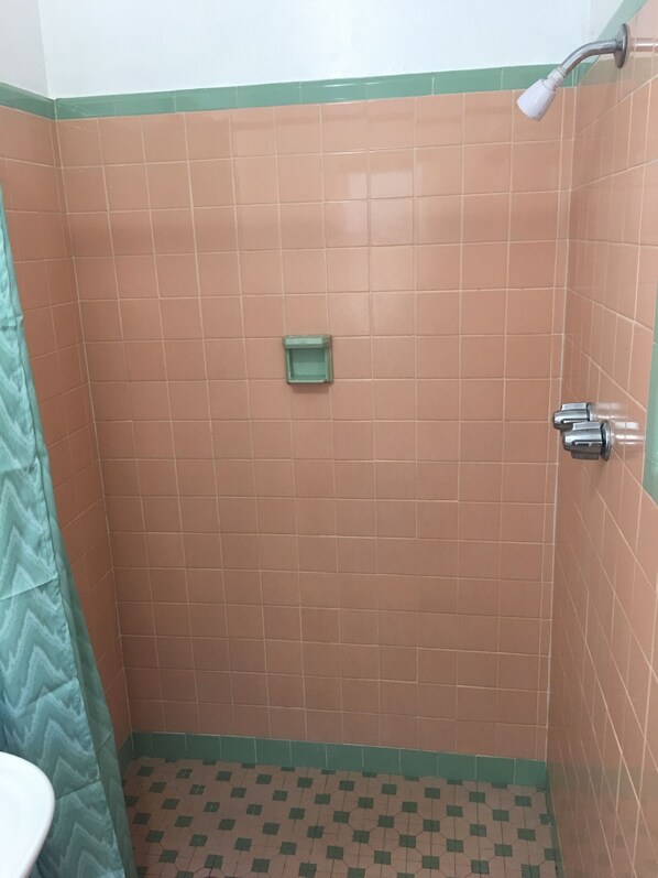 Bathroom shower - Shelton Motel (Rio Grande)